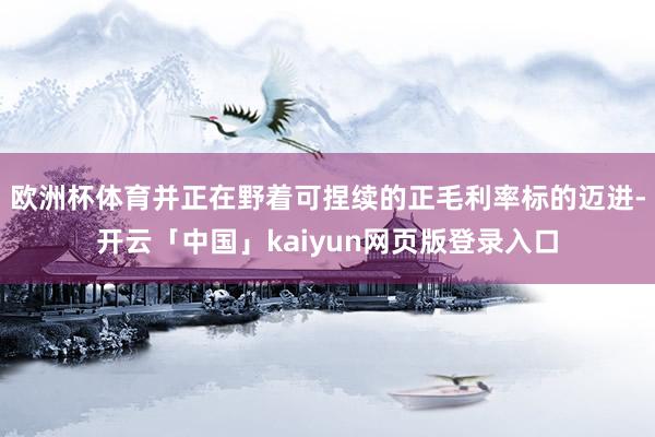欧洲杯体育并正在野着可捏续的正毛利率标的迈进-开云「中国」kaiyun网页版登录入口