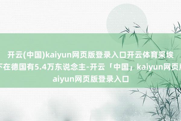 开云(中国)kaiyun网页版登录入口开云体育采埃孚集团目下在德国有5.4万东说念主-开云「中国」kaiyun网页版登录入口