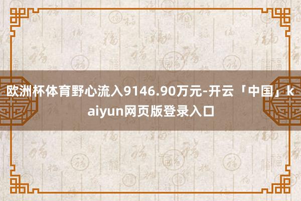 欧洲杯体育野心流入9146.90万元-开云「中国」kaiyun网页版登录入口
