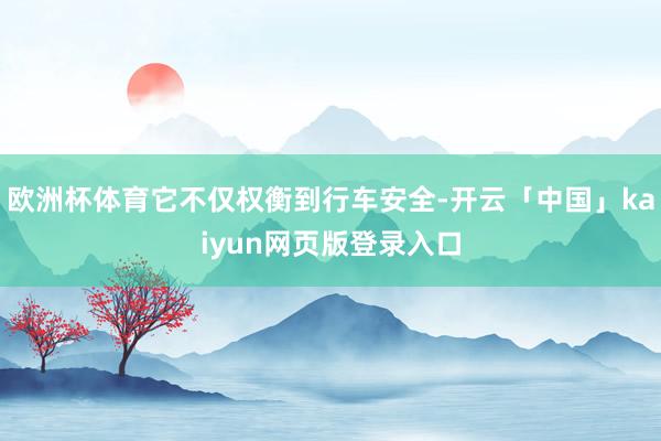 欧洲杯体育它不仅权衡到行车安全-开云「中国」kaiyun网页版登录入口