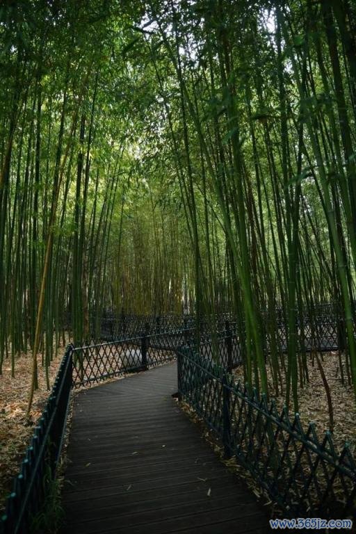 哇哦！在北京会挪动的不雅景台上兜风，这很夏天