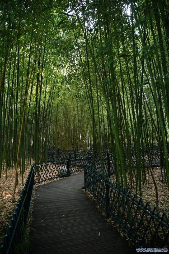 哇哦！在北京会挪动的不雅景台上兜风，这很夏天